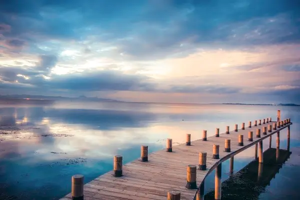 美食烧麦做法视频大全