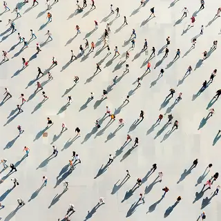 铁芙蓉美食做法简单