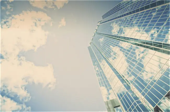 虾米做法简单美食懒人